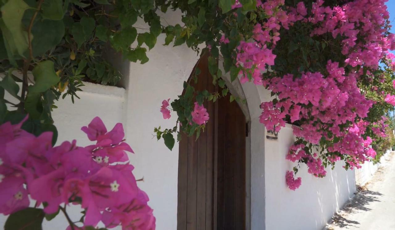 Alexiszorba Villa Plaka  Dış mekan fotoğraf